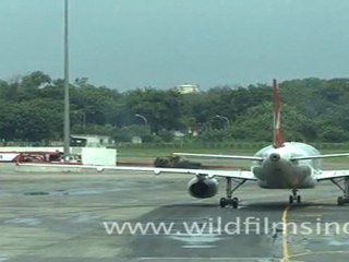 Indira Gandhi International Airport T3
