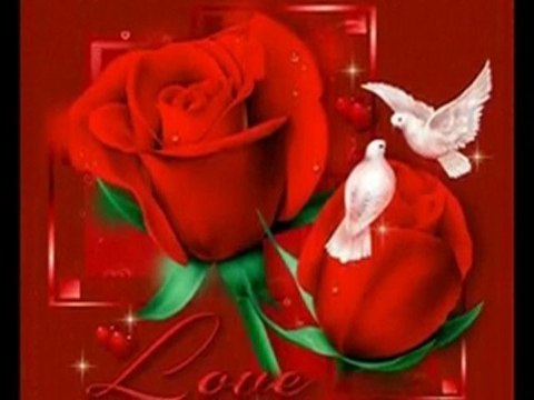 beyaz güvercin şiir & video bahri yıldırım ( dosteli) seslendiren ( çimlerin melodisi )