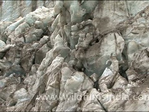 Blue ice of Gangotri Glacier at Gaumukh