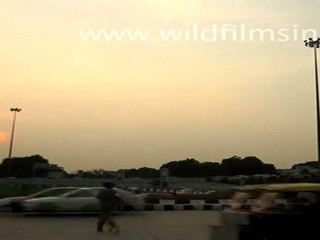 Flyover Near Safdarjung, New Delhi