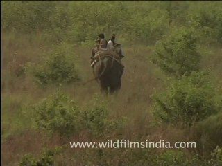 Elephants ride in Corbett National Park, Uttarakhand