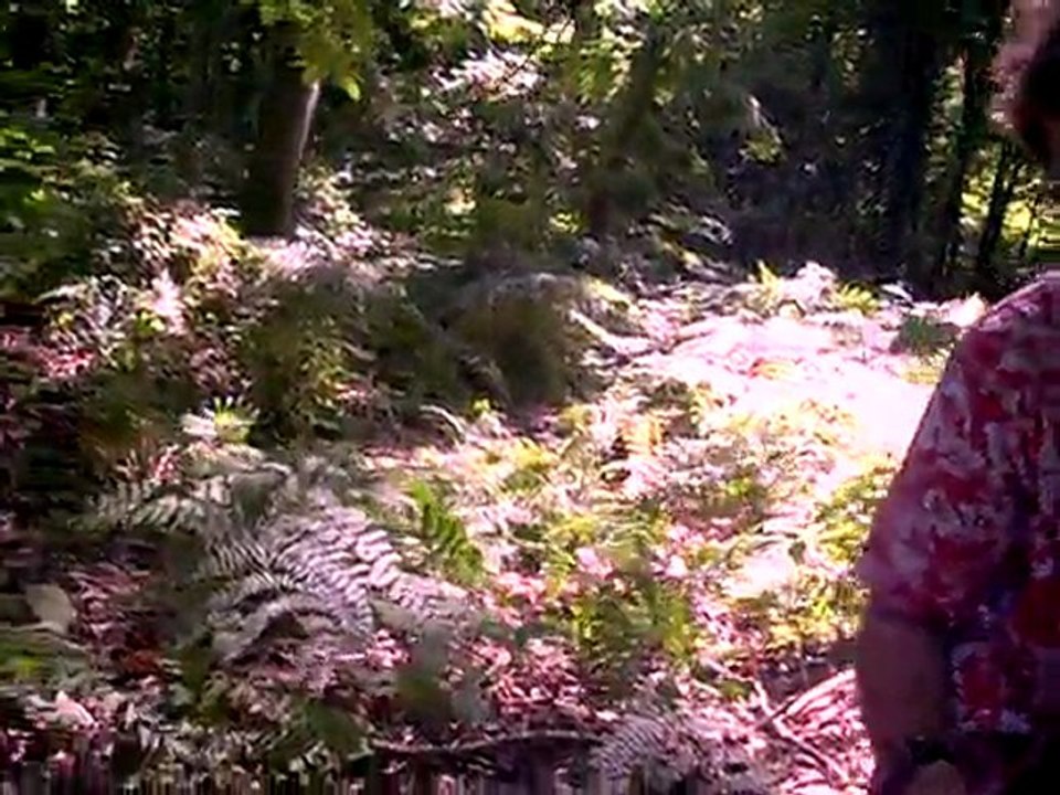 operation fougeres,prise du bunker 1ere partie