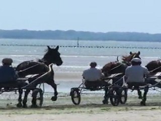 UN BON FILS,NUPER,UTOPIE DU PONT,SALUT TITI