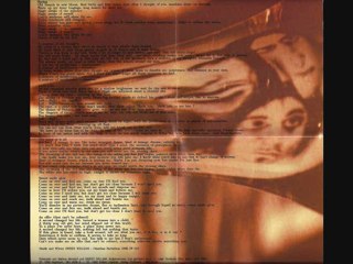 Sweet William - Spring