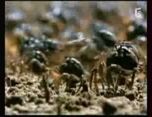 superscience (la mort du soleil) (partie 3sur3)