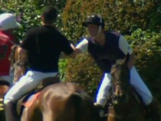 Prince William plays polo