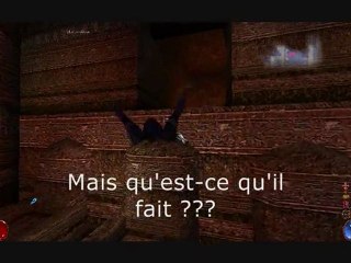 Bug dans Arx Fatalis