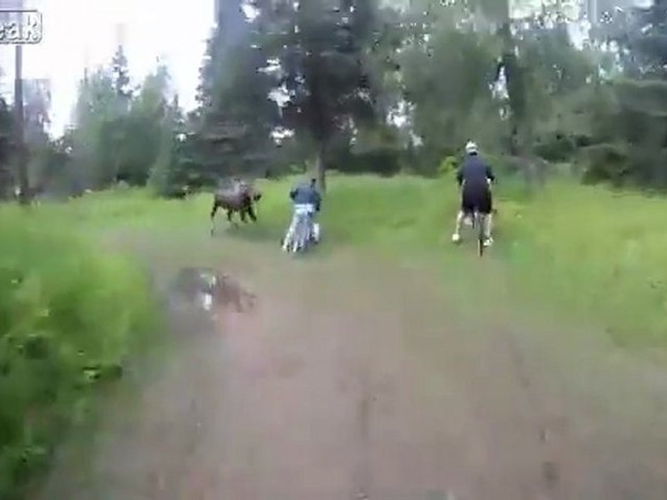 Bikers von Moose Charged - Helmet Cam Fail