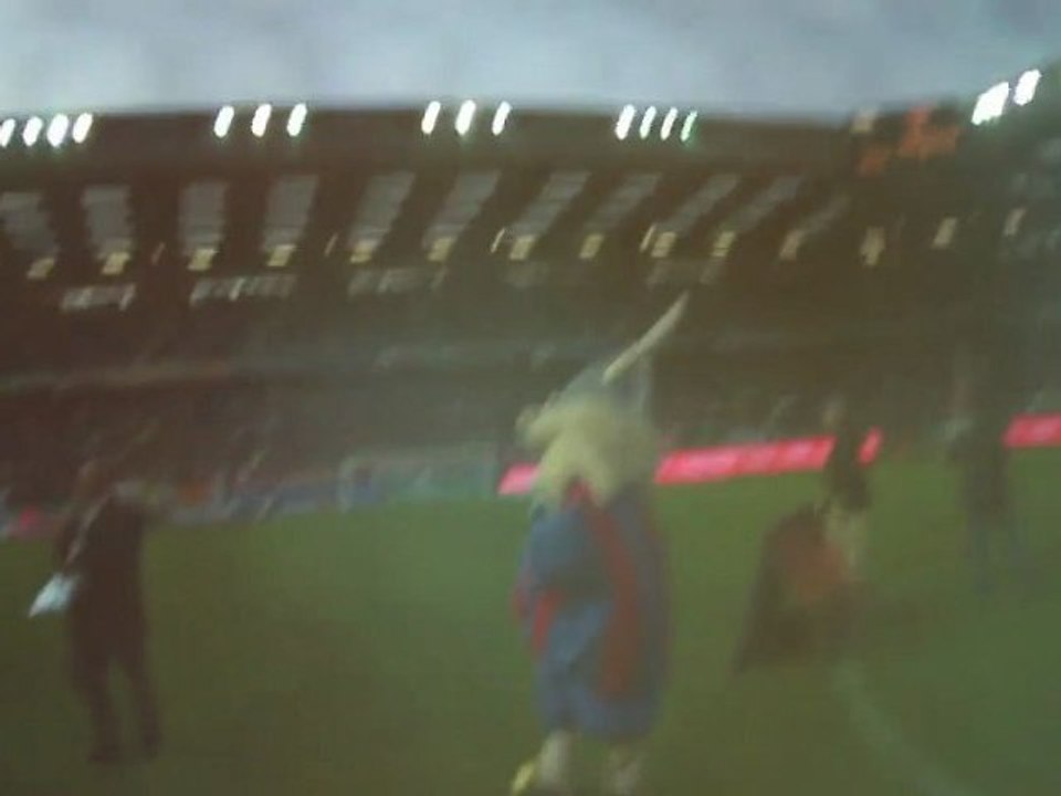 La vie d'une mascotte...