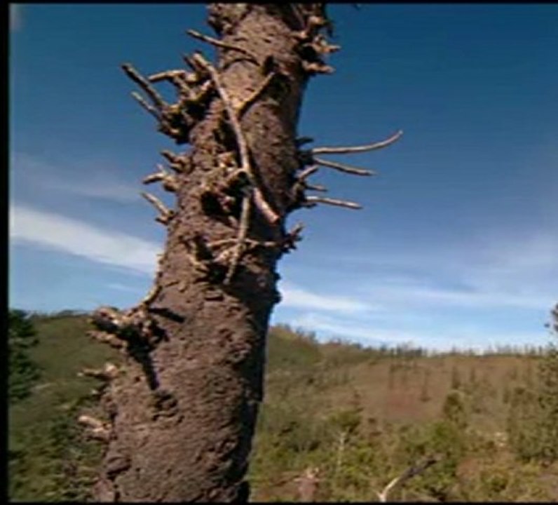 Im Reich der Giganten-E01-Frisches Blut