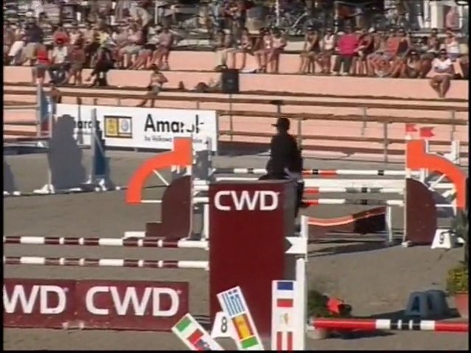 ASSIR DE NAVARRE-Lamotte 2011