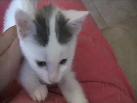 Vilette - 03 juillet 20111