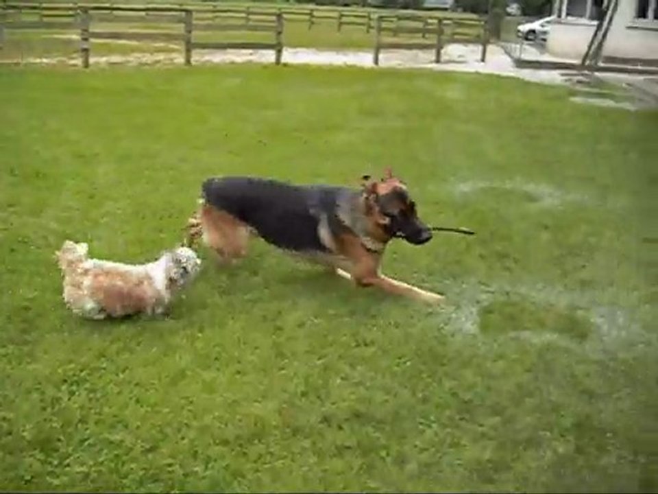 petit moment de jeu...