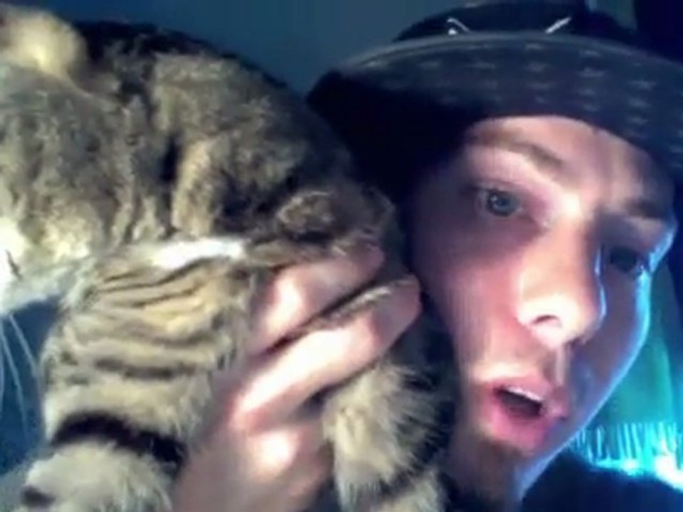 SpeakSwedishStupid presents an exclusive lesson with a Swedish Cat!