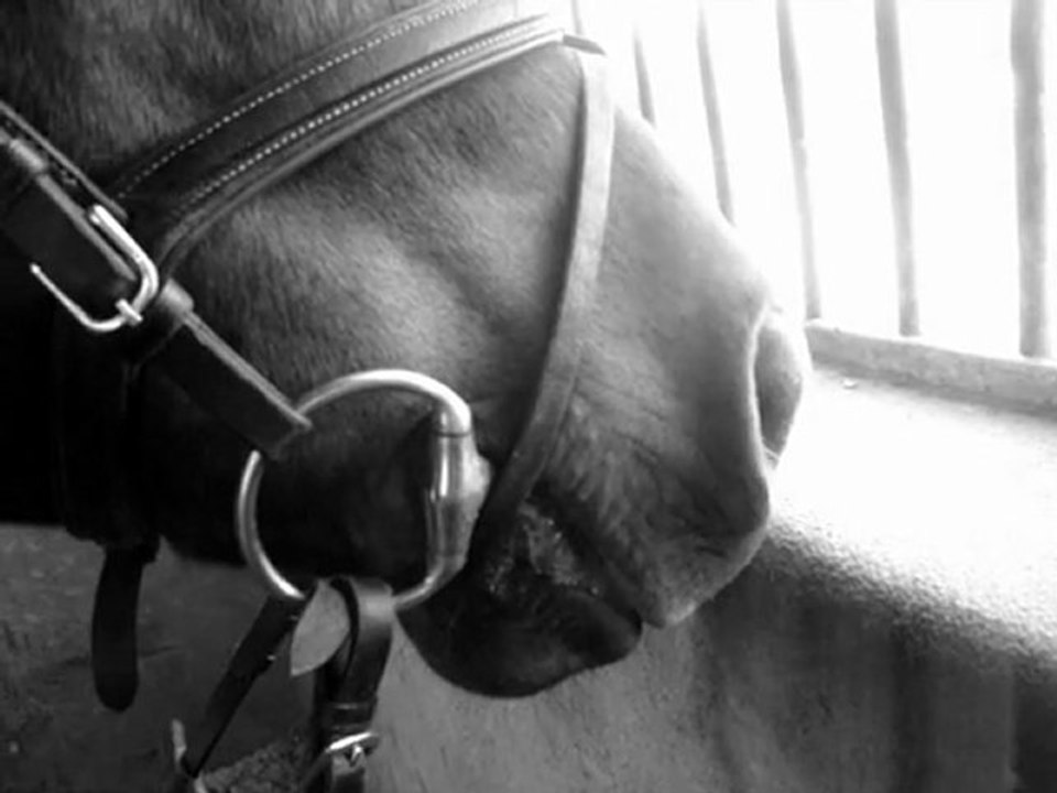 musardière pour toujours ..♥