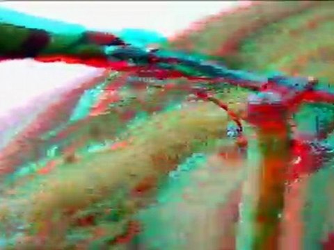 Super Besse Vtt DH camera 3D juillet 2011