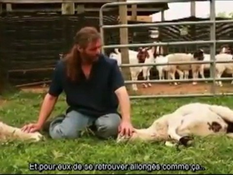 La Miséricorde de l'abattage rituel islamique 1/2