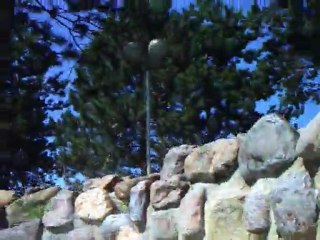 rivière sauvage center parc N°1 BTS MAI juillet 2011