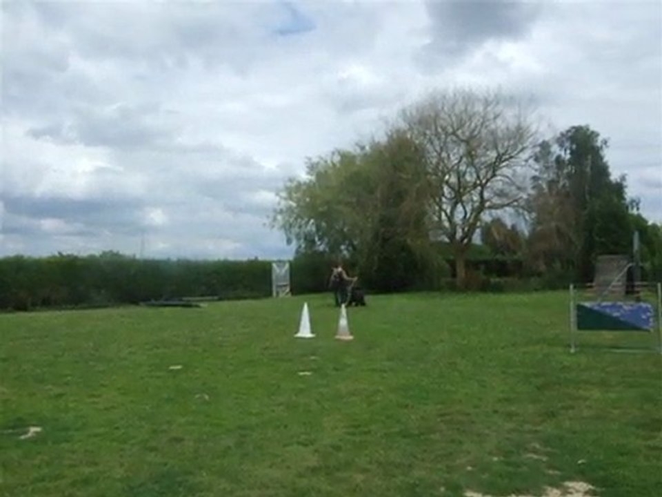 Faros des tourbières d'alliacum