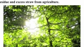 Biofuels | Maintain Atmospheric Balance with Biofuels