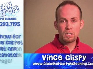 Carpet Cleaning Salt Lake City - How do I clean cat poo?