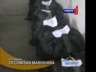 Hallan mas de 90 kilos de marihuana en Nuevo Chimbote