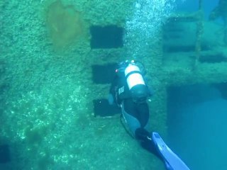 Les moyades, grotte à corail, le chaouen, pingouin malin