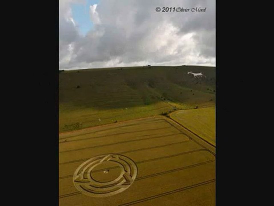 Crop circle ~ 6 juillet 2011~ Milk Hill, Alton Barnes, Wiltshire
