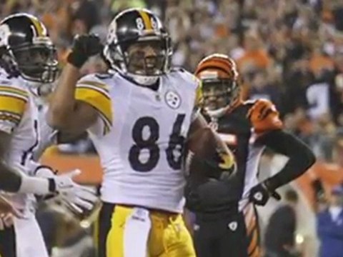 Hines Ward Charged with DUI