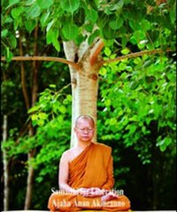 Samadhi for Liberation - Ajahn Anan Akincanno