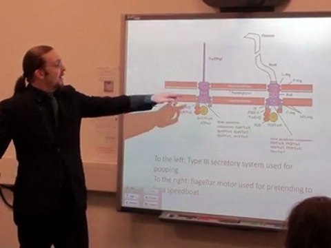 Heini Reinert - Intelligent Design