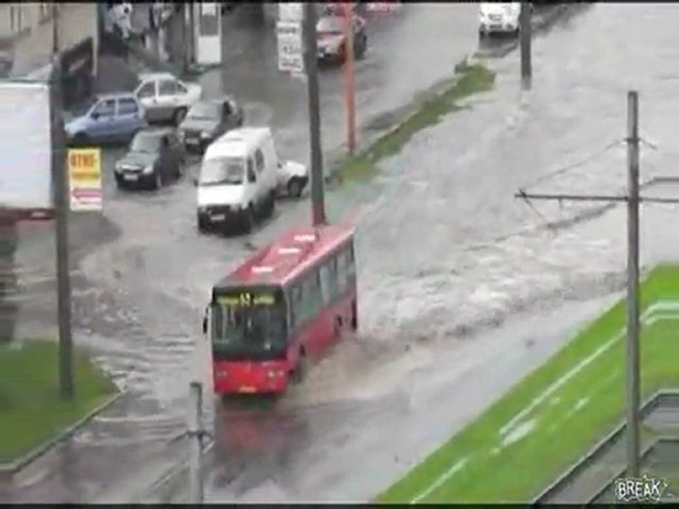 Bus driving like a boss