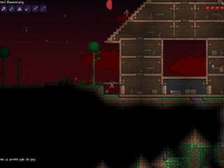 Terraria (Test avec Fraps)