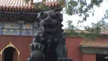 Yong he gong lion
