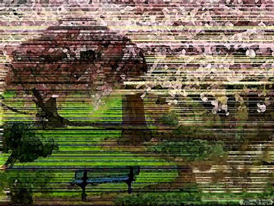havva 1