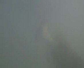 Week end black bass avec Tom, Bastien et alex (3)