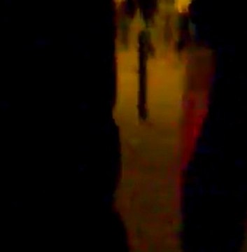 Cubillos 2011