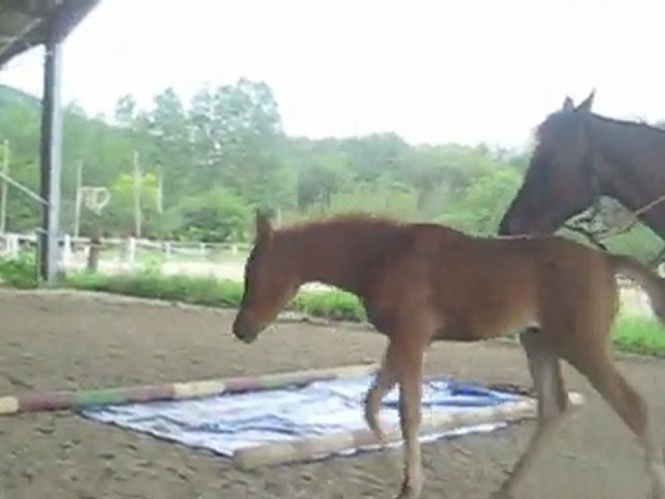 K&K 29 juin 2O11