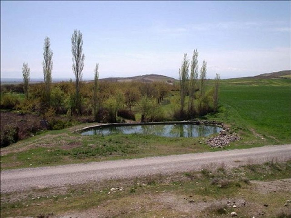 Mesut Salman - Olmaz Olsun