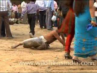 Chatt Pooja in India