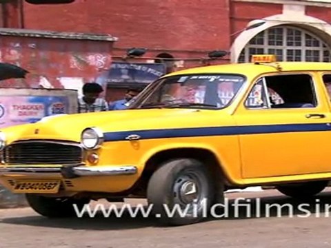 Calcutta Taxis