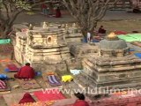 Monks in Mahabodhi Temple