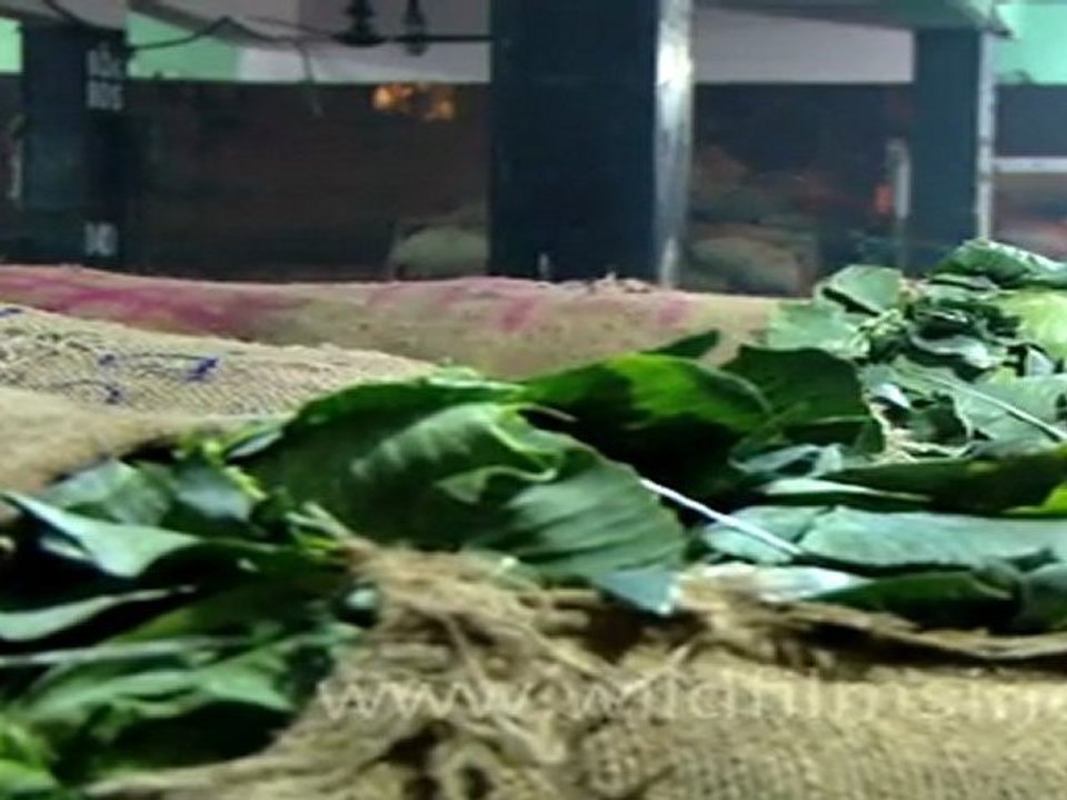 Wholesale Vegetable Market, Azadpur, New Delhi