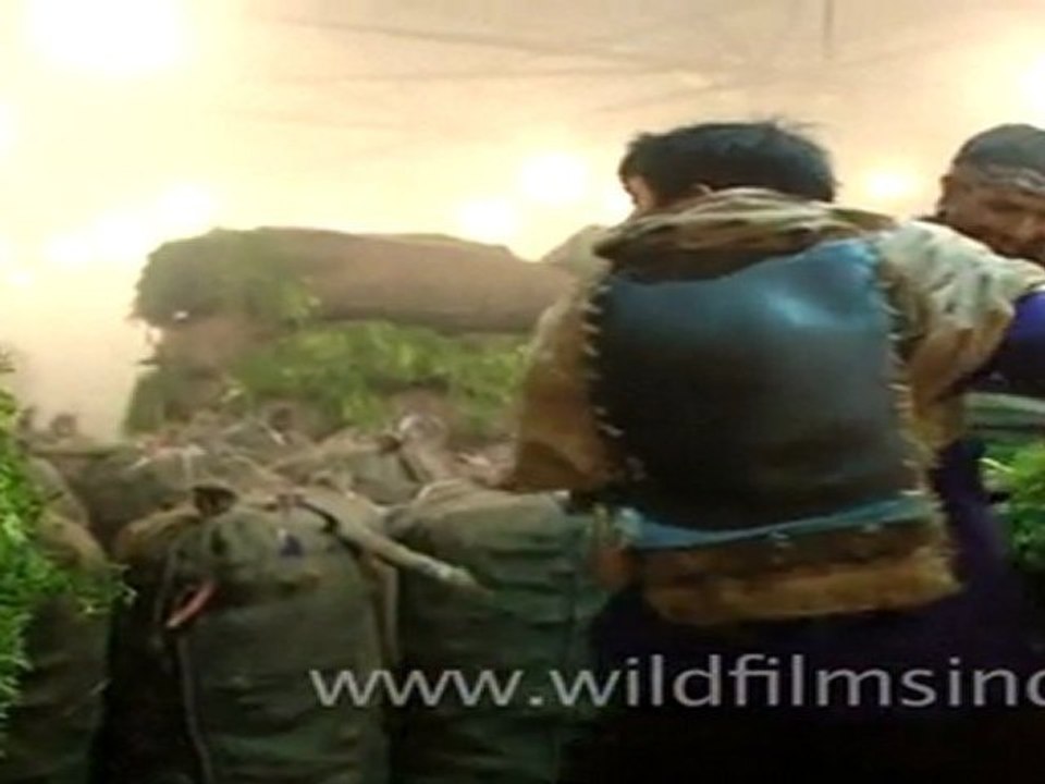 Azadpur Vegetable Market, New Delhi