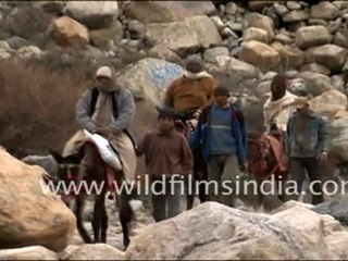 Gaumukh Trek in Uttrakhand