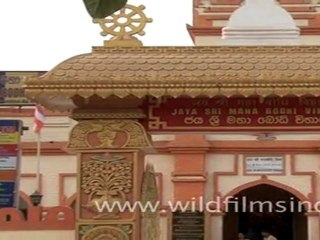 Jaya Sri Maha Bodhi Vihara