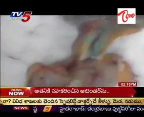 Body of 'dead alien' is found in frozen wastes of Siberia