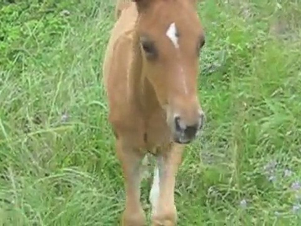 K&K 6 juillet 2O11