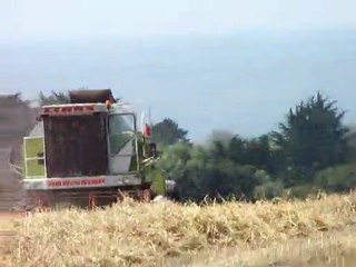 Moisson blé 2011 finistére CLASS