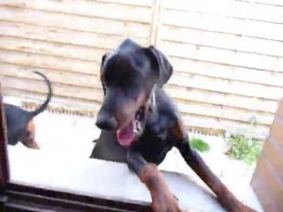 Poker 11 Juillet 2011 - 7,5 months